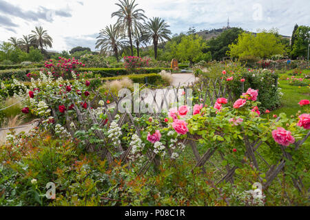 Giardino di Cervantes, il giardino di rose di Les Corts distretto di Barcellona,Spagna. Foto Stock