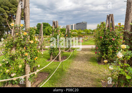 Giardino di Cervantes, il giardino di rose di Les Corts distretto di Barcellona,Spagna. Foto Stock