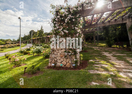 Giardino di Cervantes, il giardino di rose di Les Corts distretto di Barcellona,Spagna. Foto Stock