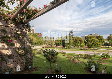 Giardino di Cervantes, il giardino di rose di Les Corts distretto di Barcellona,Spagna. Foto Stock