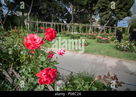 Giardino di Cervantes, il giardino di rose di Les Corts distretto di Barcellona,Spagna. Foto Stock