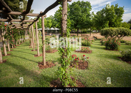 Giardino di Cervantes, il giardino di rose di Les Corts distretto di Barcellona,Spagna. Foto Stock