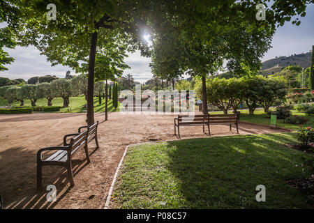 Giardino di Cervantes, il giardino di rose di Les Corts distretto di Barcellona,Spagna. Foto Stock