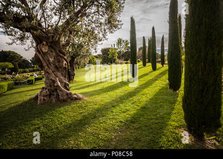 Giardino di Cervantes, il giardino di rose di Les Corts distretto di Barcellona,Spagna. Foto Stock