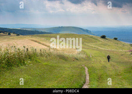 Uomo che cammina con il suo cane a Ditchling Beacon sulla South Downs, East Sussex, Regno Unito. Foto Stock