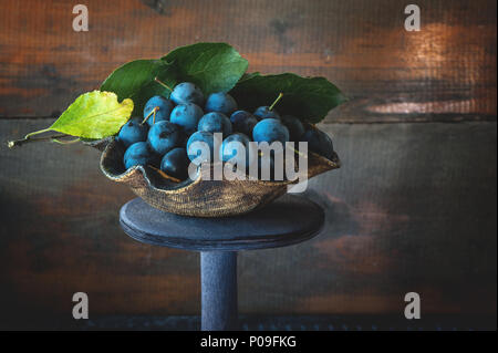 Raccolto autunnale di blu prugnoli su un supporto di legno . Copia dello spazio. Stile rustico. Foto Stock