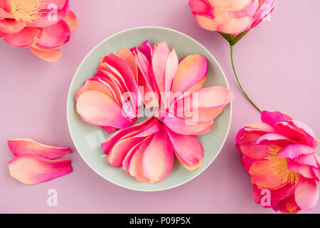 Rosa Fiori Sulla Crêpe Albero Di Mirto Foto Immagine Stock