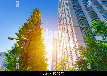 Eco verde città ufficio edificio outdoor cielo blu Foto Stock