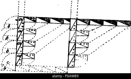 . Inglese: Fleuron dal libro: un semplice piano di disciplina per una milizia. Da Timothy Pickering, Jun. [tre linee dal trattato della milizia, da C.S.] 312 un semplice piano di disciplina per una milizia Fleuron W031196-14 Foto Stock