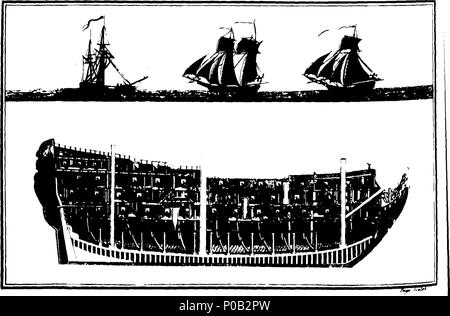 . Inglese: Fleuron dal libro: un nuovo, autentica e completa la storia dell'Inghilterra, dal primo insediamento di Bruto in questa isola, ... per l'anno 1795. ... Da George William Spencer, ... Abbellito con un inimitabile varietà di rame-piastre, ... 164 di un nuovo, autentico e completo la storia dell'Inghilterra, dal primo insediamento di Bruto in questa isola, - per l'anno 1795 Fleuron T106560-14 Foto Stock
