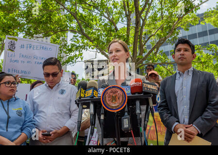 New York, Stati Uniti. Il giorno 08 Giugno, 2018. Aiuto legale società Attorney Jennifer Williams - Rendere le strade di New York i membri, il Patrocinio a spese dello Stato nella società e membro del Consiglio Carlos Menchaca terrà un rally al di fuori della Corte in materia di immigrazione a 26 Federal Plaza a sostegno di un soggiorno di emergenza mozione di questo pomeriggio per Pablo Villavicencio, recentemente arrestati da immigrazione e dogane esecuzione (ghiaccio) dopo la consegna di una pizza a Fort Hamilton Army base di Brooklyn, dove una guardia di ghiaccio contattato dopo aver eseguito una verifica di fondo a Villavicencio. Credito: Erik McGregor/Pacific Press/Alamy Live News Foto Stock