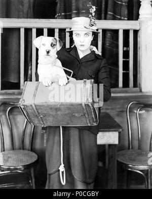 Pellicola originale titolo: un cane la vita. Titolo italiano: un cane la vita. Regista: Charlie Chaplin. Anno: 1918. Stelle: Edna Purviance. Credito: prima nazionale / Album Foto Stock