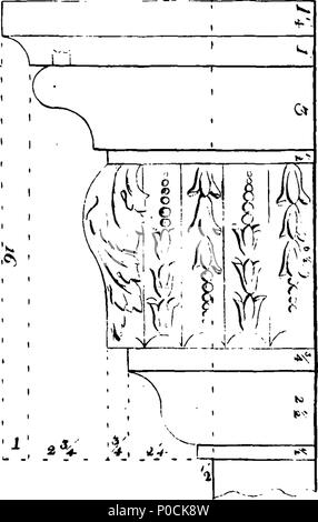 . Inglese: Fleuron dal libro: un supplemento per il costruttore si regola d oro: Incisi su trentaquattro folio di rame-piastre. Da William il dolore, autore del costruttore si regola d'oro, e altri pezzi. 212 un supplemento al costruttore la regola d'oro- incisi su trentaquattro folio di rame-piastre Fleuron n024619-10 Foto Stock