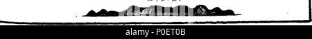 . Inglese: Fleuron dal libro: un viaggio a New-Holland, &c. nell'anno 1699. In cui sono descritti i Canary-Islands, le isole di Mayo e San Jago. La Baia di Tutti i Santi, ... Illustrato con alcune mappe e bozze: subacquei anche gli uccelli, pesci e piante, non trovato in questa parte del mondo, curiosamente ingraven su rame-piastre. Vol. III. Dal capitano William Dampier. 251 di un viaggio da New-Holland, etc Fleuron T034014-4 Foto Stock