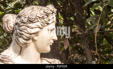 Muse nel Jardin Molino de Inca Foto Stock