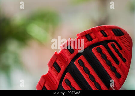 Bellissimi e moderni red sneaker close up su uno sfondo verde Foto Stock