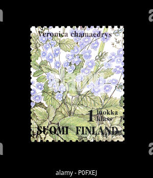 Annullato francobollo stampato dalla Finlandia, che mostra Germander Speedwell fiore, circa 1994. Foto Stock