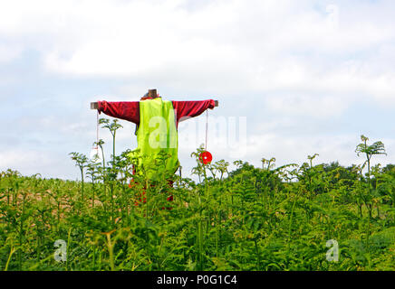 Uno spaventapasseri in corrispondenza di un bordo di campo da un seminativo su una farm di Norfolk a Salhouse, Norfolk, Inghilterra, Regno Unito, Europa. Foto Stock