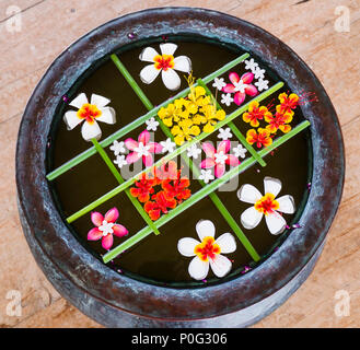 Disposizione geometrica di variopinti fiori galleggianti in stile Zen Foto Stock