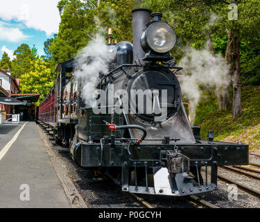 Il Puffing Billy, Australia premier conserve di treni a vapore, Melbourne Foto Stock