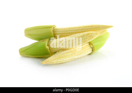 Baby corn isolati su sfondo bianco Foto Stock