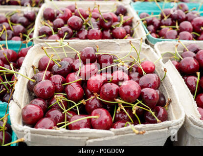 Cesto di rosso scuro Lepin le ciliegie per la vendita al mercato locale Foto Stock