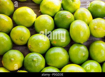 Colore verde brillante mazzetto di tigli Foto Stock