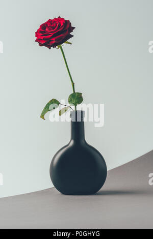 Red Rose in vaso nero sulla superficie grigia Foto Stock