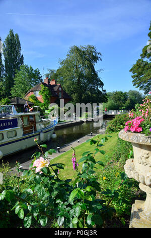 In estate la fioritura delle piante a Sonning serratura con motoscafo attraversando. Sonning on Thames, Berkshire, Regno Unito, Gran Bretagna Foto Stock