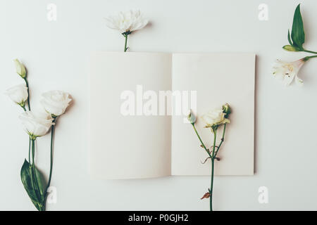 Vista superiore della gara fresco bianco fiori che sbocciano e la scheda vuota su grigio Foto Stock