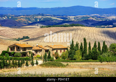 Casa circondata da campi in Val d'Orcia, Toscana, Italia. Nel 2004 la Val d'Orcia è stato aggiunto alla lista del Patrimonio Mondiale Foto Stock