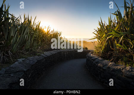 Passeggiata di Punakaiki Pancake Rocks e soffiature, West Coast, Nuova Zelanda Foto Stock