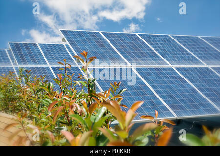 Pannelli solari fotovoltaici sul tetto Foto Stock
