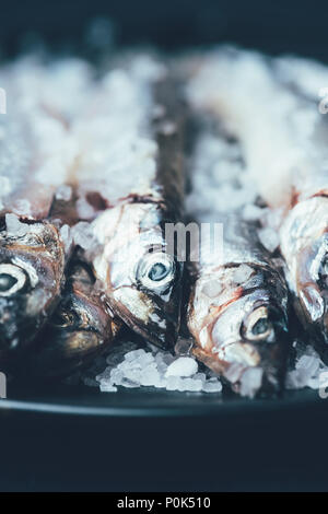 Close up di pelo di pesce fritto in padella isolato su nero Foto Stock