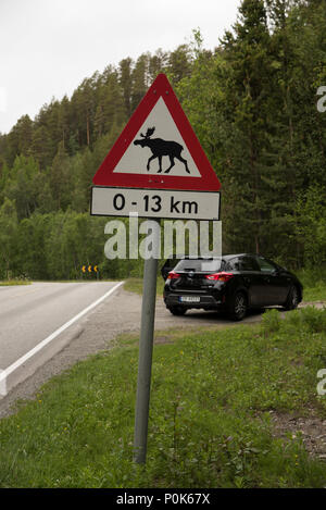 Elks sono spesso coinvolti in incidenti stradali. Pertanto specifica segnaletica stradale avvisa in caso di rischio di alce in Finnmark provincia di Norvegia. Foto Stock