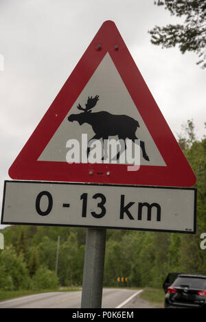 Elks sono spesso coinvolti in incidenti stradali. Pertanto specifica segnaletica stradale avvisa in caso di rischio di alce in Finnmark provincia di Norvegia. Foto Stock