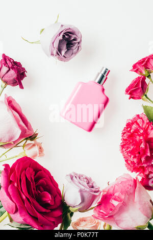 Vista superiore della rosa bottiglia di profumo circondato con boccioli di rosa su bianco Foto Stock