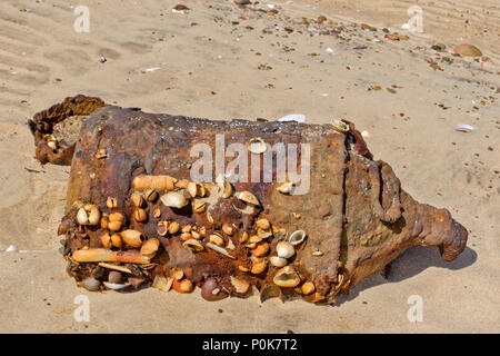 Spiaggia di CULBIN MORAY Scozia miglia di spiaggia di sabbia di un vecchio arrugginito contenitore coperto in gusci di arricciatura Foto Stock