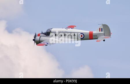 1946 Avro C.19 Anson Foto Stock