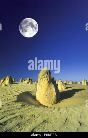 1995 fluttuazioni storiche sabbia Deserto Pinnacles NAMBUNG NATIONAL PARK Australia occidentale Foto Stock