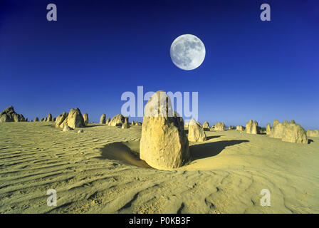 1995 fluttuazioni storiche sabbia Deserto Pinnacles NAMBUNG NATIONAL PARK Australia occidentale Foto Stock