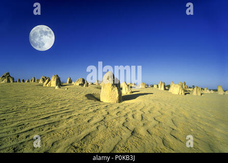 1995 fluttuazioni storiche sabbia Deserto Pinnacles NAMBUNG NATIONAL PARK Australia occidentale Foto Stock