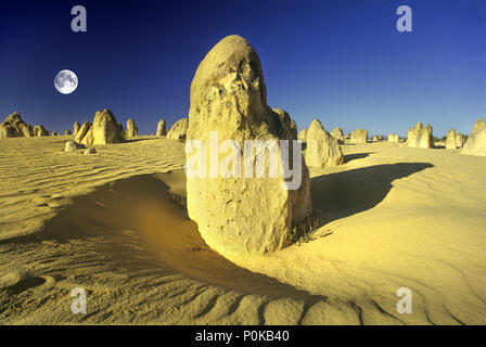 1995 fluttuazioni storiche sabbia Deserto Pinnacles NAMBUNG NATIONAL PARK Australia occidentale Foto Stock