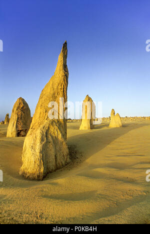 1995 fluttuazioni storiche sabbia Deserto Pinnacles NAMBUNG NATIONAL PARK Australia occidentale Foto Stock