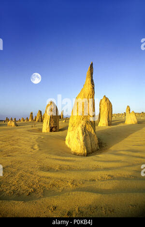 1995 fluttuazioni storiche sabbia Deserto Pinnacles NAMBUNG NATIONAL PARK Australia occidentale Foto Stock