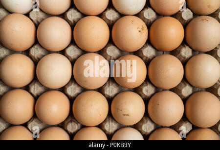 Vista aerea del campo libero organico uova di pollo nel vassoio. Alcune uova sono sporchi. Foto Stock