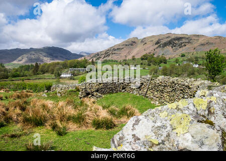 Lingmoor e lato Pike da vicino Elterwater, Lake District, Cumbria, Inghilterra Foto Stock