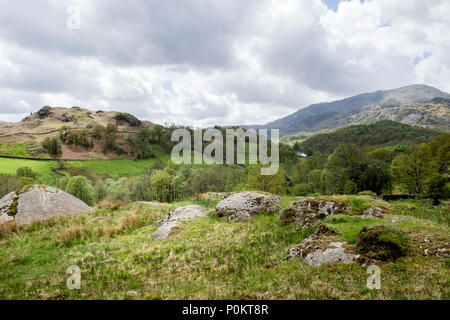 Park è sceso, Langdale, Lake District, Cumbria, Inghilterra Foto Stock