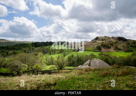 Park è sceso, Langdale, Lake District, Cumbria, Inghilterra Foto Stock