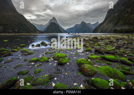 Milford Sound (Piopiotahi) è una famosa attrazione nel Parco Nazionale di Fiordland,'Isola Sud della Nuova Zelanda Foto Stock